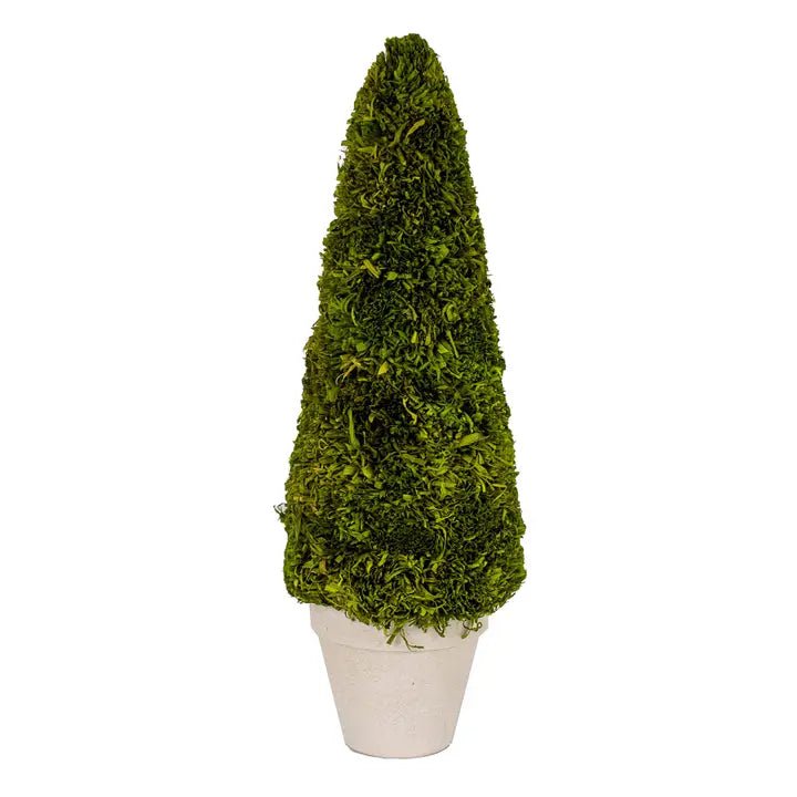 Boxwood Tree Green 4x15.75x4