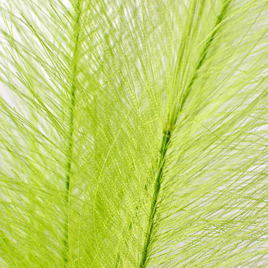 32" Fabric Pampas Grass Spray: Lime Green