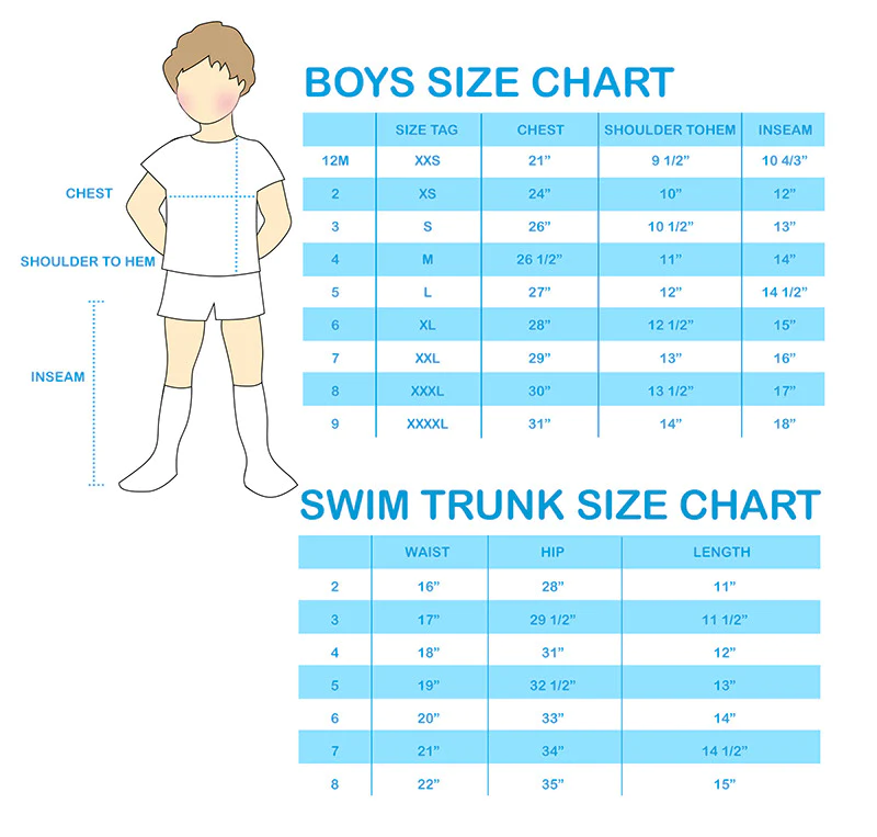 Boys Multicolored Stripe Swim Trunks