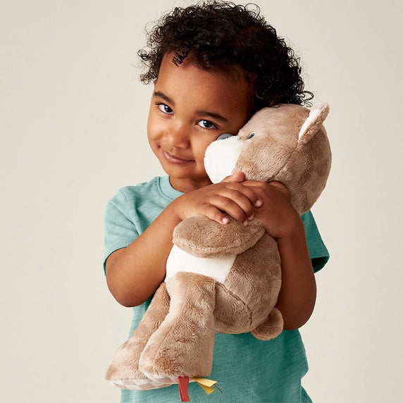 Sweetie Snuggles Plush Bear