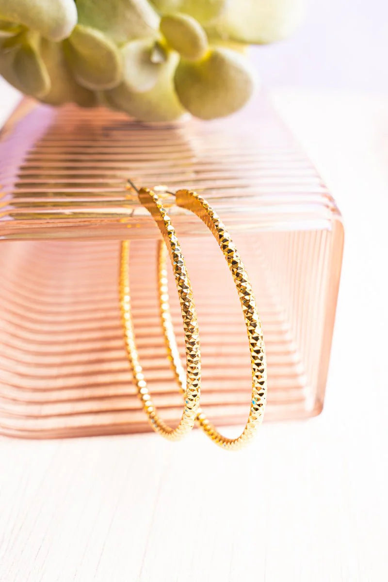 Camie Faceted Goldtone Hoop Earrings