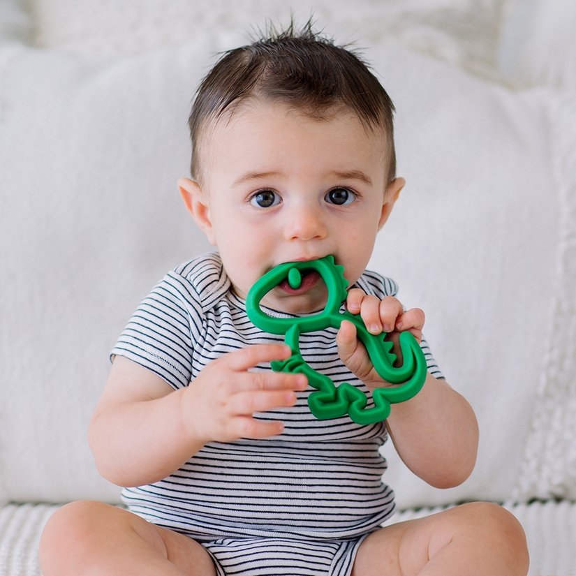 Itzy Ritzy Chew Crew Silicone Baby Teether